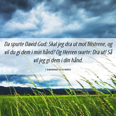 Picture 06 - 1 Krønikebok 14:10 NORSK - Da spurte David Gud: Skal jeg dra ut mot - Bible Verse Picture