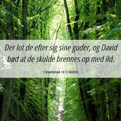 Picture 06 - 1 Krønikebok 14:12 NORSK - Der lot de efter sig sine guder, og David bød at - Bible Verse Picture