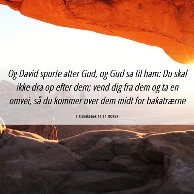 Picture 06 - 1 Krønikebok 14:14 NORSK - Og David spurte atter Gud, og Gud sa til ham: Du - Bible Verse Picture