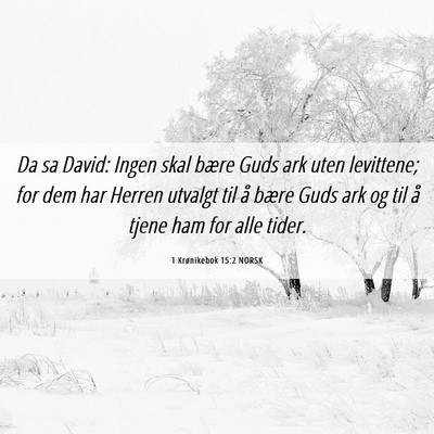 Picture 06 - 1 Krønikebok 15:2 NORSK - Da sa David: Ingen skal bære Guds ark uten - Bible Verse Picture