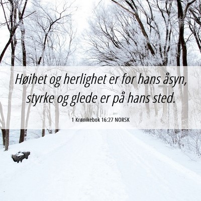 Picture 06 - 1 Krønikebok 16:27 NORSK - Høihet og herlighet er for hans åsyn, styrke og - Bible Verse Picture