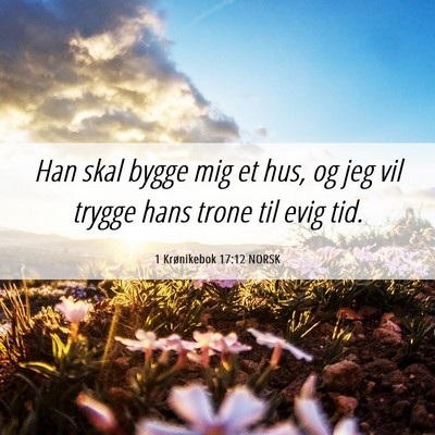 Picture 06 - 1 Krønikebok 17:12 NORSK - Han skal bygge mig et hus, og jeg vil trygge hans - Bible Verse Picture