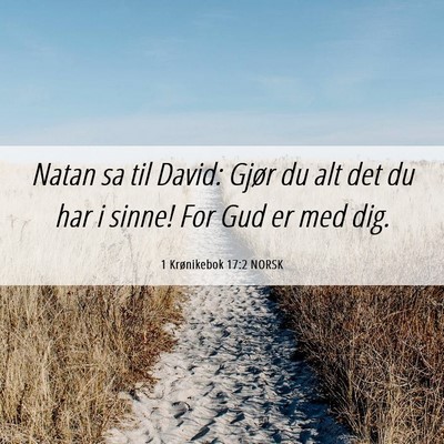 Picture 06 - 1 Krønikebok 17:2 NORSK - Natan sa til David: Gjør du alt det du har i - Bible Verse Picture