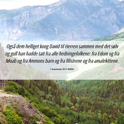 Picture 06 - 1 Krønikebok 18:11 NORSK - Også dem helliget kong David til Herren sammen - Bible Verse Picture