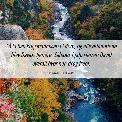Picture 06 - 1 Krønikebok 18:13 NORSK - Så la han krigsmannskap i Edom, og alle - Bible Verse Picture