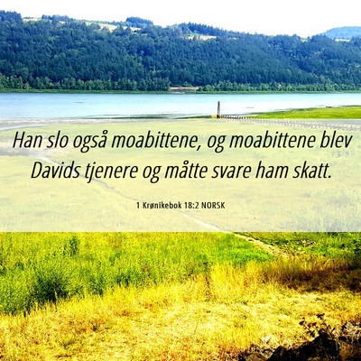 Picture 06 - 1 Krønikebok 18:2 NORSK - Han slo også moabittene, og moabittene blev - Bible Verse Picture