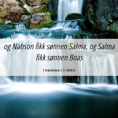 Picture 06 - 1 Krønikebok 2:11 NORSK - og Nahson fikk sønnen Salma, og Salma fikk - Bible Verse Picture
