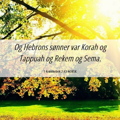 Picture 06 - 1 Krønikebok 2:43 NORSK - Og Hebrons sønner var Korah og Tappuah og Rekem - Bible Verse Picture