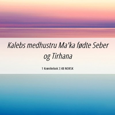 Picture 06 - 1 Krønikebok 2:48 NORSK - Kalebs medhustru Ma'ka fødte Seber og - Bible Verse Picture