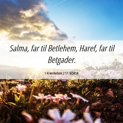 Picture 06 - 1 Krønikebok 2:51 NORSK - Salma, far til Betlehem, Haref, far til - Bible Verse Picture