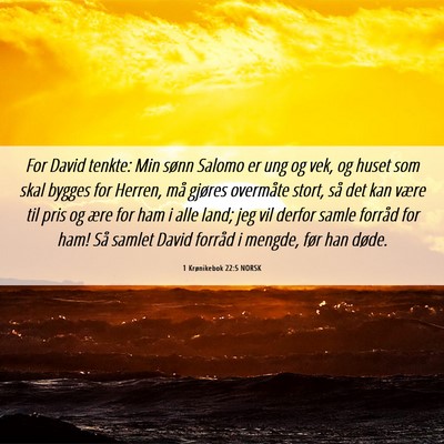 Picture 06 - 1 Krønikebok 22:5 NORSK - For David tenkte: Min sønn Salomo er ung og vek, - Bible Verse Picture