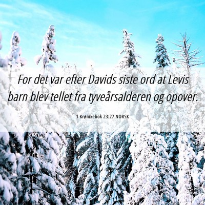 Picture 06 - 1 Krønikebok 23:27 NORSK - For det var efter Davids siste ord at Levis barn - Bible Verse Picture