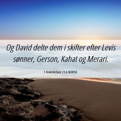Picture 06 - 1 Krønikebok 23:6 NORSK - Og David delte dem i skifter efter Levis sønner, - Bible Verse Picture