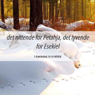 Picture 06 - 1 Krønikebok 24:16 NORSK - det nittende for Petahja, det tyvende for - Bible Verse Picture