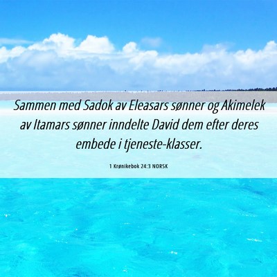 Picture 06 - 1 Krønikebok 24:3 NORSK - Sammen med Sadok av Eleasars sønner og Akimelek - Bible Verse Picture