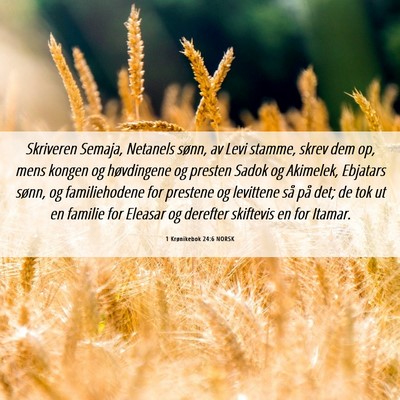 Picture 06 - 1 Krønikebok 24:6 NORSK - Skriveren Semaja, Netanels sønn, av Levi stamme, - Bible Verse Picture