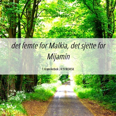 Picture 06 - 1 Krønikebok 24:9 NORSK - det femte for Malkia, det sjette for - Bible Verse Picture