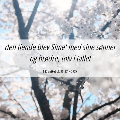 Picture 06 - 1 Krønikebok 25:17 NORSK - den tiende blev Sime' med sine sønner og - Bible Verse Picture