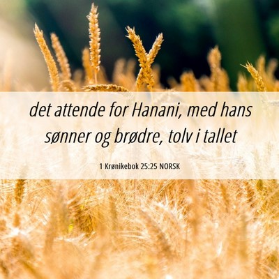 Picture 06 - 1 Krønikebok 25:25 NORSK - det attende for Hanani, med hans sønner og - Bible Verse Picture