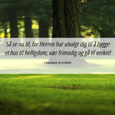 Picture 06 - 1 Krønikebok 28:10 NORSK - Så se nu til, for Herren har utvalgt dig til å - Bible Verse Picture