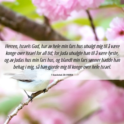 Picture 06 - 1 Krønikebok 28:4 NORSK - Herren, Israels Gud, har av hele min fars hus - Bible Verse Picture