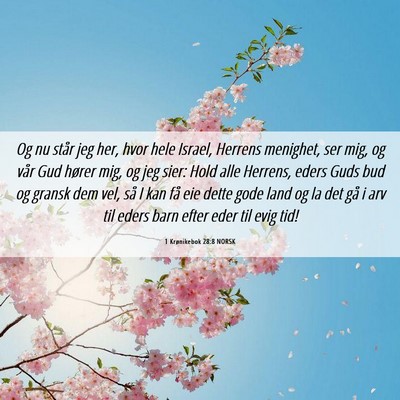 Picture 06 - 1 Krønikebok 28:8 NORSK - Og nu står jeg her, hvor hele Israel, Herrens - Bible Verse Picture