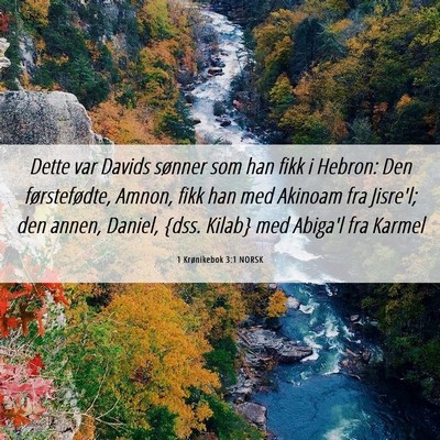 Picture 06 - 1 Krønikebok 3:1 NORSK - Dette var Davids sønner som han fikk i Hebron: - Bible Verse Picture