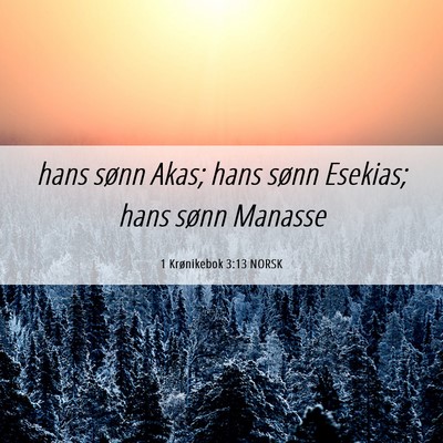 Picture 06 - 1 Krønikebok 3:13 NORSK - hans sønn Akas; hans sønn Esekias; hans sønn - Bible Verse Picture