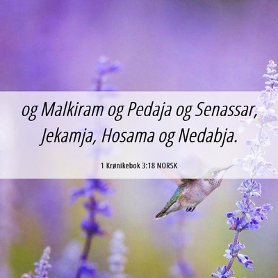 Picture 06 - 1 Krønikebok 3:18 NORSK - og Malkiram og Pedaja og Senassar, Jekamja, - Bible Verse Picture