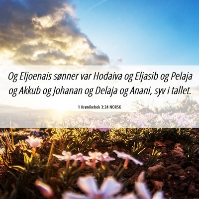 Picture 06 - 1 Krønikebok 3:24 NORSK - Og Eljoenais sønner var Hodaiva og Eljasib og - Bible Verse Picture