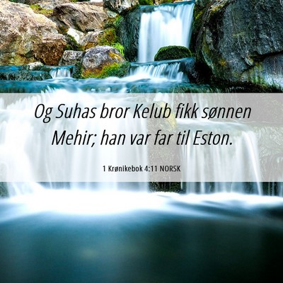 Picture 06 - 1 Krønikebok 4:11 NORSK - Og Suhas bror Kelub fikk sønnen Mehir; han var - Bible Verse Picture