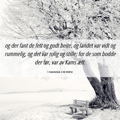Picture 06 - 1 Krønikebok 4:40 NORSK - og der fant de fett og godt beite, og landet var - Bible Verse Picture