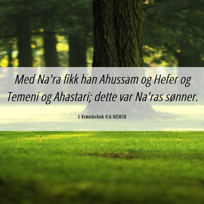 Picture 06 - 1 Krønikebok 4:6 NORSK - Med Na'ra fikk han Ahussam og Hefer og Temeni og - Bible Verse Picture