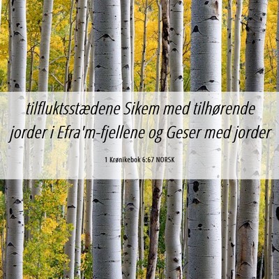 Picture 06 - 1 Krønikebok 6:67 NORSK - tilfluktsstædene Sikem med tilhørende jorder i - Bible Verse Picture
