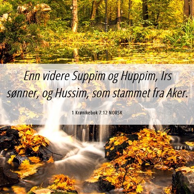Picture 06 - 1 Krønikebok 7:12 NORSK - Enn videre Suppim og Huppim, Irs sønner, og - Bible Verse Picture
