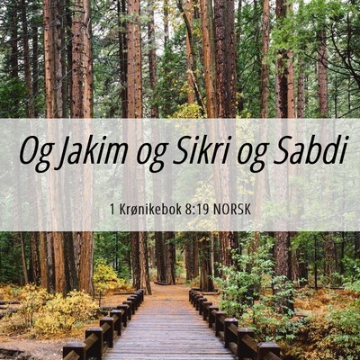 Picture 06 - 1 Krønikebok 8:19 NORSK - Og Jakim og Sikri og - Bible Verse Picture