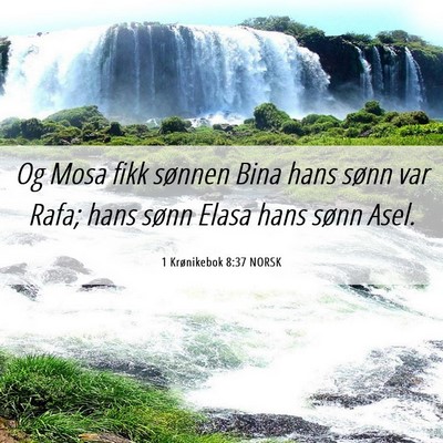 Picture 06 - 1 Krønikebok 8:37 NORSK - Og Mosa fikk sønnen Bina hans sønn var Rafa; - Bible Verse Picture