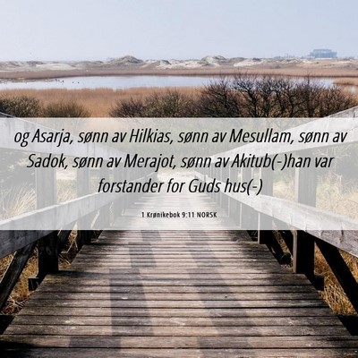 Picture 06 - 1 Krønikebok 9:11 NORSK - og Asarja, sønn av Hilkias, sønn av Mesullam, - Bible Verse Picture