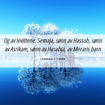 Picture 06 - 1 Krønikebok 9:14 NORSK - Og av levittene: Semaja, sønn av Hassub, sønn - Bible Verse Picture