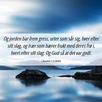 Picture 06 - 1 Mosebok 1:12 NORSK - Og jorden bar frem gress, urter som sår sig, - Bible Verse Picture