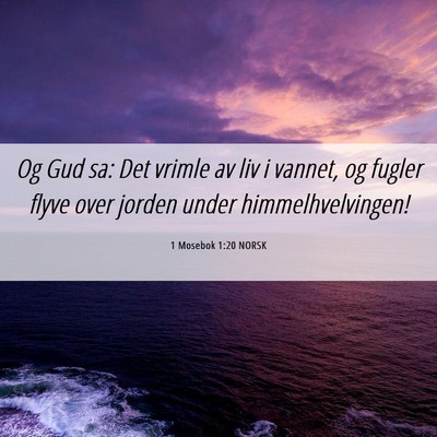 Picture 06 - 1 Mosebok 1:20 NORSK - Og Gud sa: Det vrimle av liv i vannet, og fugler - Bible Verse Picture