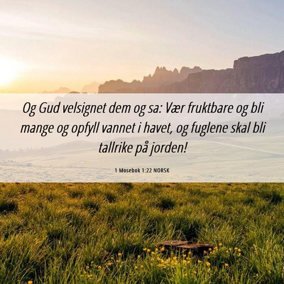 Picture 06 - 1 Mosebok 1:22 NORSK - Og Gud velsignet dem og sa: Vær fruktbare og bli - Bible Verse Picture