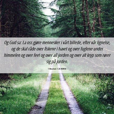 Picture 06 - 1 Mosebok 1:26 NORSK - Og Gud sa: La oss gjøre mennesker i vårt - Bible Verse Picture