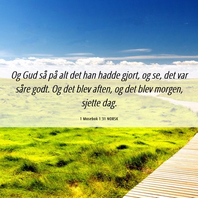 Picture 06 - 1 Mosebok 1:31 NORSK - Og Gud så på alt det han hadde gjort, og se, - Bible Verse Picture