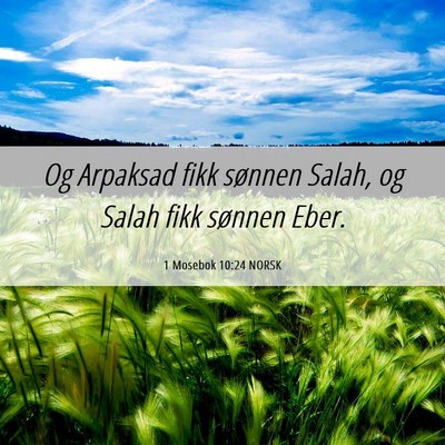 Picture 06 - 1 Mosebok 10:24 NORSK - Og Arpaksad fikk sønnen Salah, og Salah fikk - Bible Verse Picture