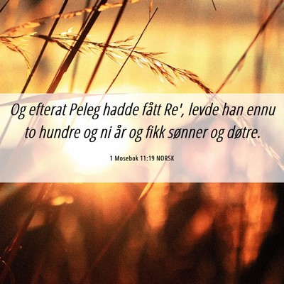 Picture 06 - 1 Mosebok 11:19 NORSK - Og efterat Peleg hadde fått Re', levde han ennu - Bible Verse Picture