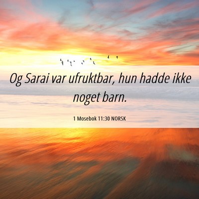 Picture 06 - 1 Mosebok 11:30 NORSK - Og Sarai var ufruktbar, hun hadde ikke noget - Bible Verse Picture