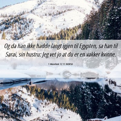 Picture 06 - 1 Mosebok 12:11 NORSK - Og da han ikke hadde langt igjen til Egypten, sa - Bible Verse Picture
