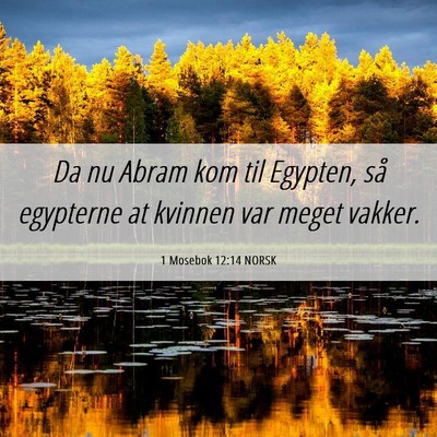 Picture 06 - 1 Mosebok 12:14 NORSK - Da nu Abram kom til Egypten, så egypterne at - Bible Verse Picture