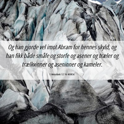 Picture 06 - 1 Mosebok 12:16 NORSK - Og han gjorde vel imot Abram for hennes skyld, og - Bible Verse Picture